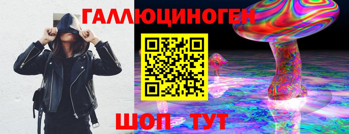 Галлюциногенные грибы Psilocybe Сланцы