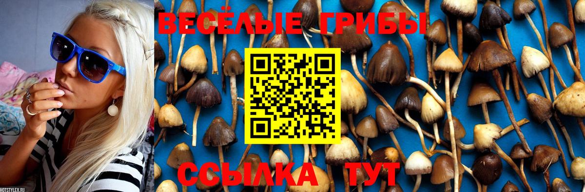 Сланцы  Псилоцибиновые грибы Cubensis  Вход с VPN  Галлюциногенные грибы ЛСД 